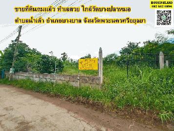 ขายที่ดินถมเเล้ว ทำเลสวย ใกล้วัดบางปลาหมอ ตำบลน้ำเต้า อำเภอบางบาล จังหวัดพระนครศรีอยุธยา 